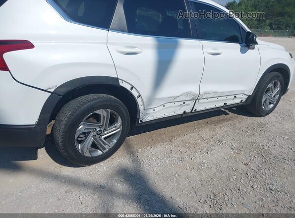5NMS14AJ6PH497702 2023 HYUNDAI SANTA FE Белый Вид спереди
