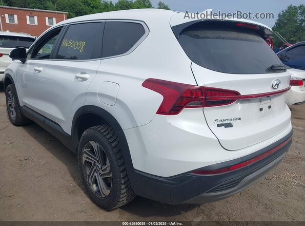 5NMS1DAJXPH487352 2023 HYUNDAI SANTA FE White Tył lewy