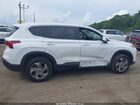 2023 Hyundai Santa Fe Se White vin: 5NMS1DAJXPH487352