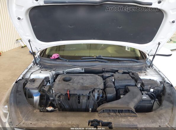 5NPE24AF7JH594925 2018 HYUNDAI SONATA Белый Вид сзади
