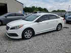 2017 Hyundai Sonata Sport Белый vin: 5NPE34AF6HH454582