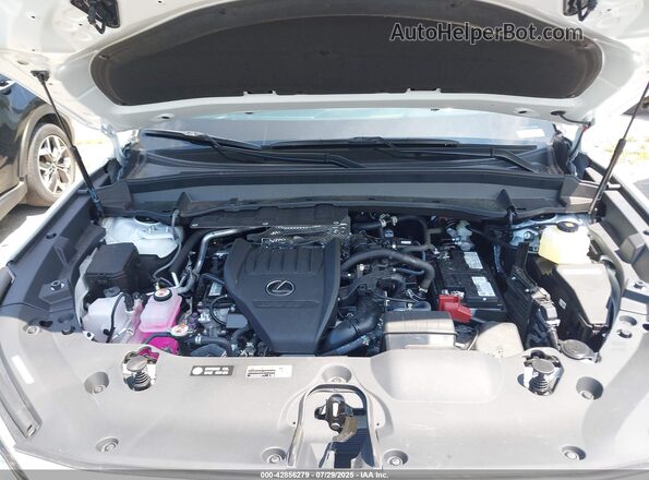 5TDAAAB66SS032525 2025 LEXUS TX 350 White Widok z tyłu