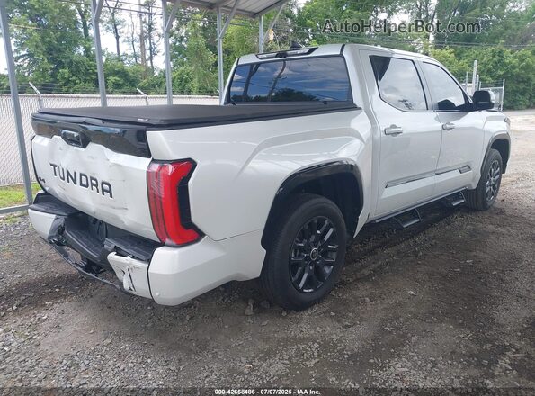 5TFNC5DB2RX048819 2024 TOYOTA TUNDRA HYBRID White Tył prawy