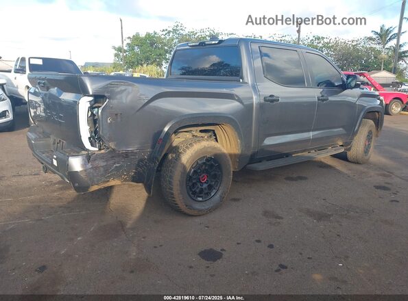 5TFPC5DB9RX043349 2024 TOYOTA TUNDRA HYBRID Gray Rear right