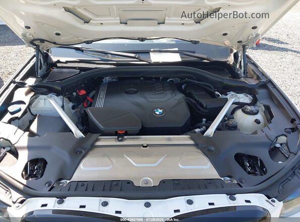 5UX33DT04R9U95141 2024 BMW X4 White უკანა ხედი