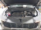2024 Kia Sorento X-line Sx Black vin: 5XYRKDJF1RG270079