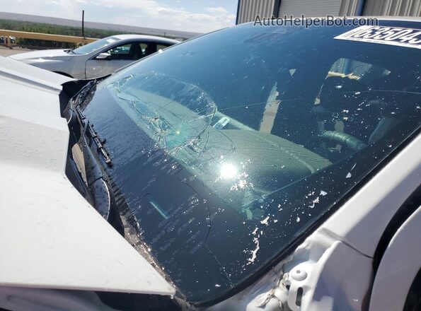 1GCGSBEC3R1275926 2024 CHEVROLET COLORADO White Vista de la etiqueta del VIN