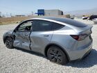 2025 Tesla Model Y Silver vin: 7SAYGDED4SF216006
