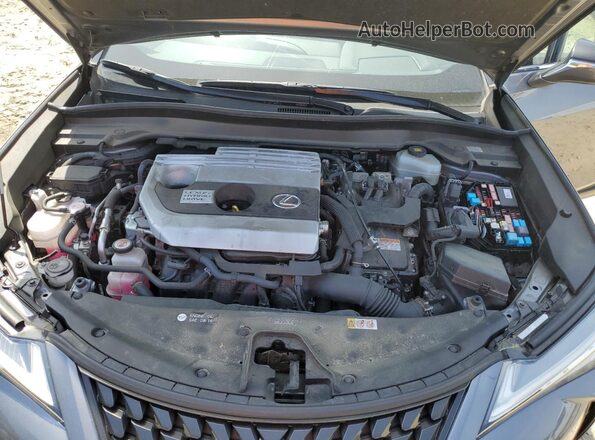 JTHP9JBH5L2020233 2020 LEXUS UX Gray Vista interior trasera