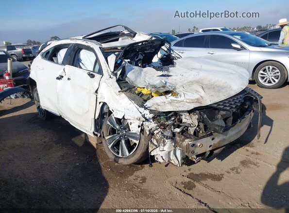 JTHX6JBH3R2178006 2024 LEXUS UX White Przód prawy