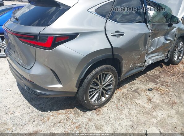 JTJGGCEZ5N2005464 2022 LEXUS NX Silver უკანა მარჯვენა
