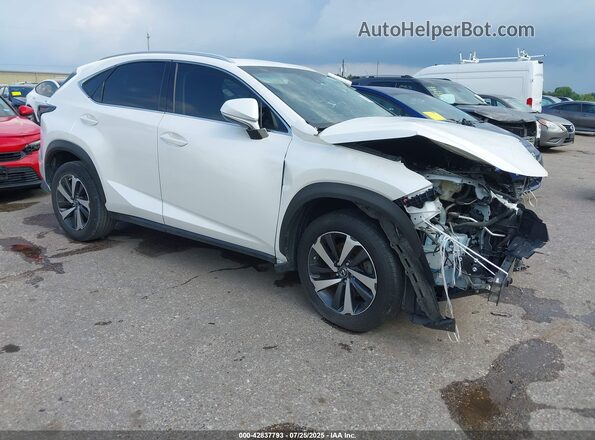 JTJYARBZ3J2085211 2018 LEXUS NX White წინა მარჯვენა
