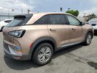 2021 Hyundai Nexo Blue Коричневый vin: KM8J74A67MU014787
