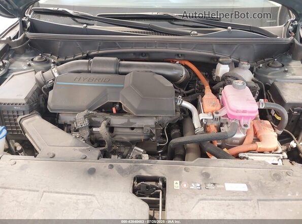 KM8JBCD10RU232182 2024 HYUNDAI TUCSON HYBRID Gray უკანა ხედი
