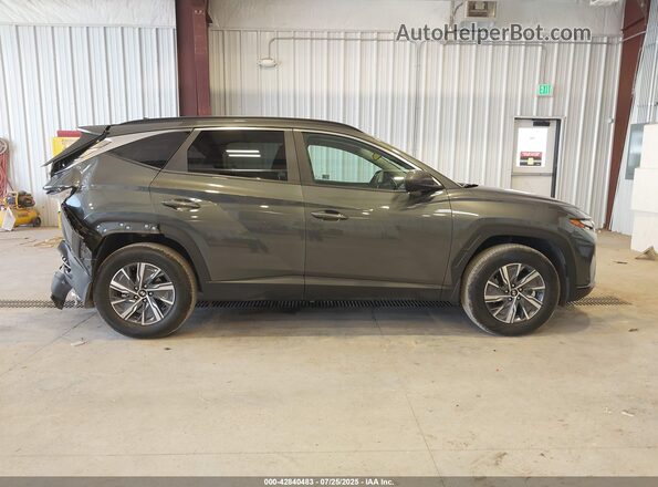 KM8JBCD10RU232182 2024 HYUNDAI TUCSON HYBRID Gray უკანა სალონის ხედი