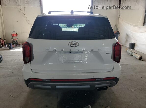 KM8R2DGE8PU600239 2023 HYUNDAI PALISADE White Widok z tyłu