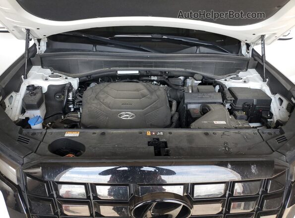 KM8R2DGE8PU600239 2023 HYUNDAI PALISADE White Widok wnętrza z tyłu