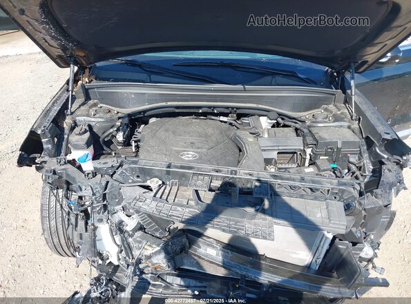 KM8R5DGEXPU566733 2023 HYUNDAI PALISADE Черный Вид сзади