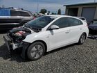 2020 Hyundai Ioniq Blue White vin: KMHC65LC9LU241370