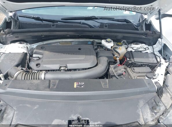 LRBFZMR43PD201521 2023 BUICK ENVISION Белый Вид сзади