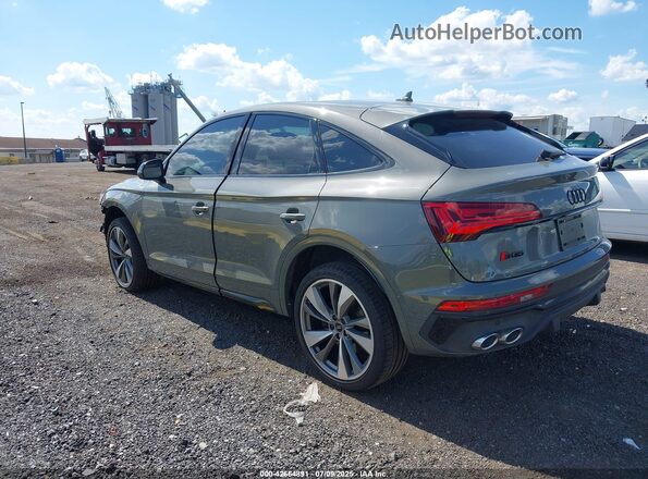 WA124AFY2P2176363 2023 AUDI SQ5 Серый Задняя левая четверть