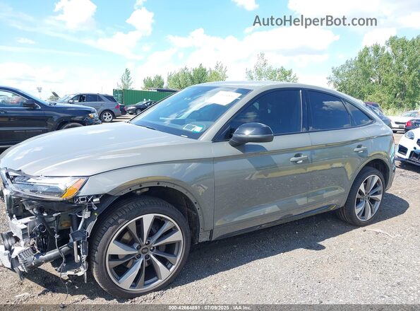 WA124AFY2P2176363 2023 AUDI SQ5 Серый Панорамный вид салона 360°