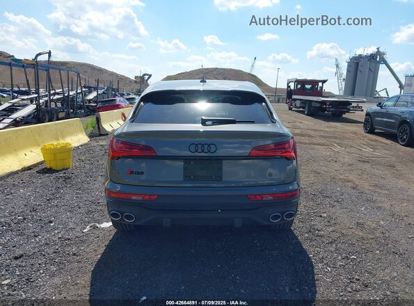WA124AFY2P2176363 2023 AUDI SQ5 Серый 
