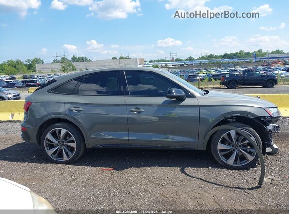 WA124AFY2P2176363 2023 AUDI SQ5 Серый Вид задней части салона
