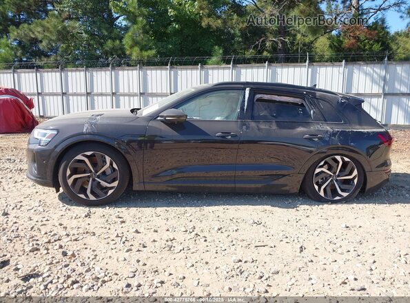 WA15AAGE7RB063294 2024 AUDI Q8 E-TRON Черный Панорамный вид салона 360°