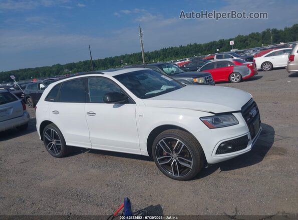 WA1CCAFP3HA034335 2017 AUDI SQ5 Белый Вид задней части салона