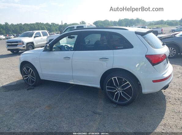 WA1CCAFP3HA034335 2017 AUDI SQ5 Белый Панорамный вид салона 360°