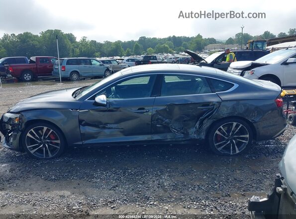 WAUB4CF59RA053429 2024 AUDI S5 Серый Панорамный вид салона 360°