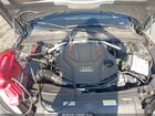 2025 Audi S5 Sportback Premium Tfsi Quattro Tiptronic Green vin: WAUC4CF50SA011807