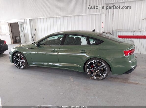 WAUC4CF51RA068897 2024 AUDI S5 Green Widok wnętrza z tyłu