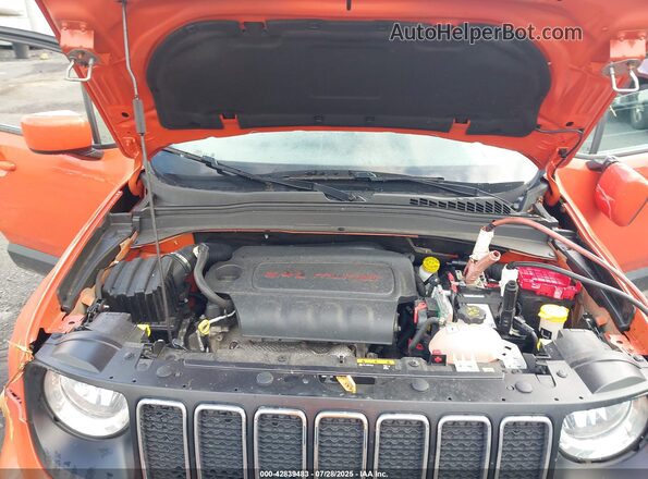 ZACNJDBBXMPM77038 2021 JEEP RENEGADE Orange Widok z tyłu