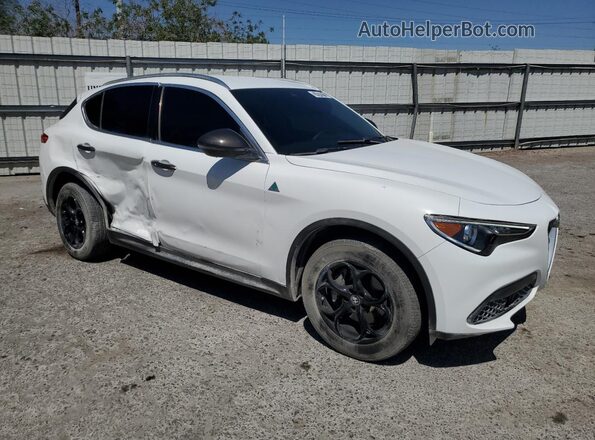 ZASPAKAN0L7C75985 2020 ALFA ROMEO STELVIO Белый Вид спереди