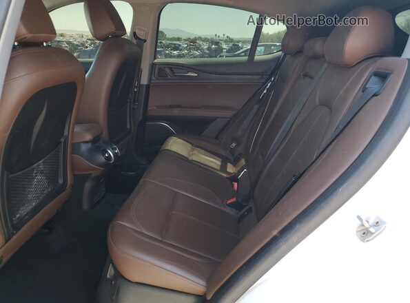 ZASPAKAN0L7C75985 2020 ALFA ROMEO STELVIO Белый Вид подкапотного пространства