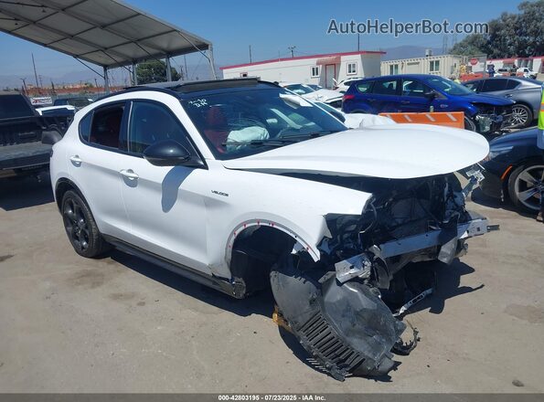 ZASPAKBN8R7D70351 2024 ALFA ROMEO STELVIO Белый Передняя правая четверть