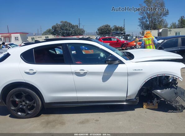 ZASPAKBN8R7D70351 2024 ALFA ROMEO STELVIO Белый Панорамный вид салона 360°