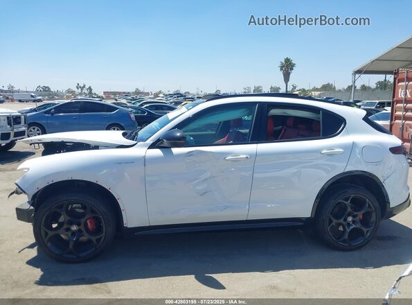 ZASPAKBN8R7D70351 2024 ALFA ROMEO STELVIO Белый 