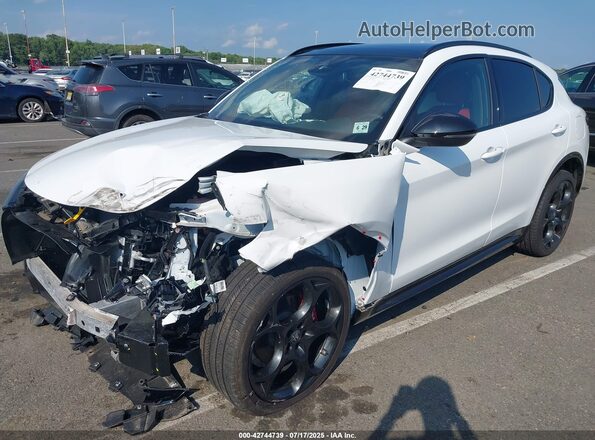 ZASPAKBNXR7D80041 2024 ALFA ROMEO STELVIO Белый Передняя левая четверть