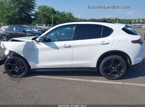 ZASPAKBNXR7D80041 2024 ALFA ROMEO STELVIO Белый Панорамный вид салона 360°