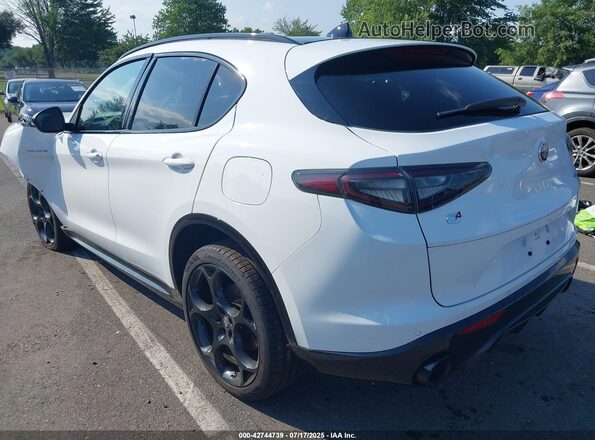ZASPAKBNXR7D80041 2024 ALFA ROMEO STELVIO Белый Задняя левая четверть