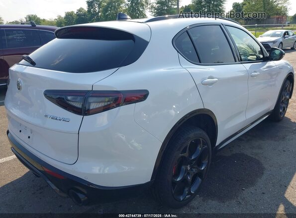 ZASPAKBNXR7D80041 2024 ALFA ROMEO STELVIO Белый Задняя правая четверть