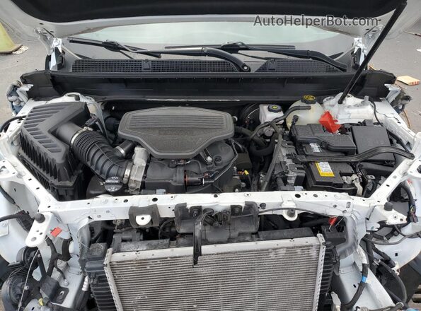 1GKKNLLS6MZ121632 2021 GMC ACADIA Белый Вид наклейки с VIN-кодом