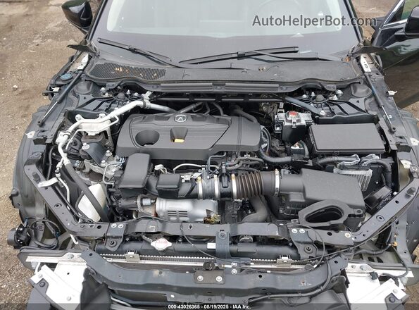 19UUB5F36PA006840 2023 ACURA TLX Черный Вид сзади
