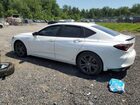2023 Acura Tlx A-spec White vin: 19UUB6F50PA000099 2023 Acura Tlx A-spec White vin: 19UUB6F50PA000099