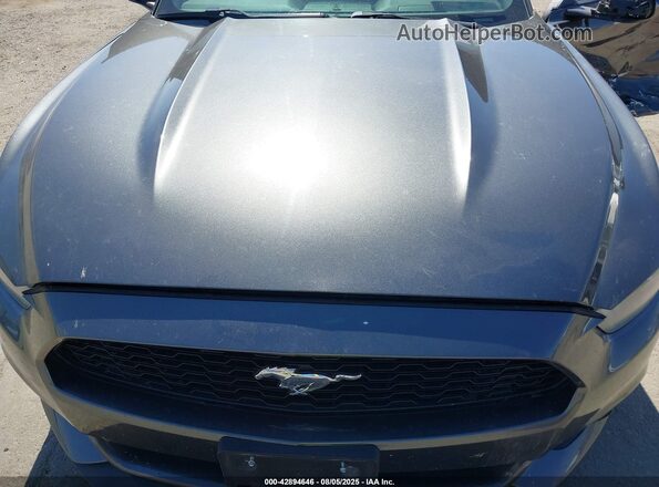 1FA6P8AMXG5254985 2016 FORD MUSTANG Gray Widok z tyłu