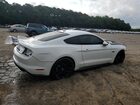 2023 Ford Mustang Gt White vin: 1FA6P8CF3P5305208 2023 Ford Mustang Gt White vin: 1FA6P8CF3P5305208