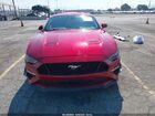 2021 Ford Mustang Gt Premium Fastback Burgundy vin: 1FA6P8CF8M5149694